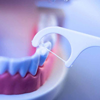 Gums Gums