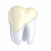 Tooth Enamel Tooth Enamel